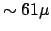 $\sim 61\mu$