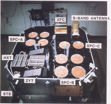 x-ray detector